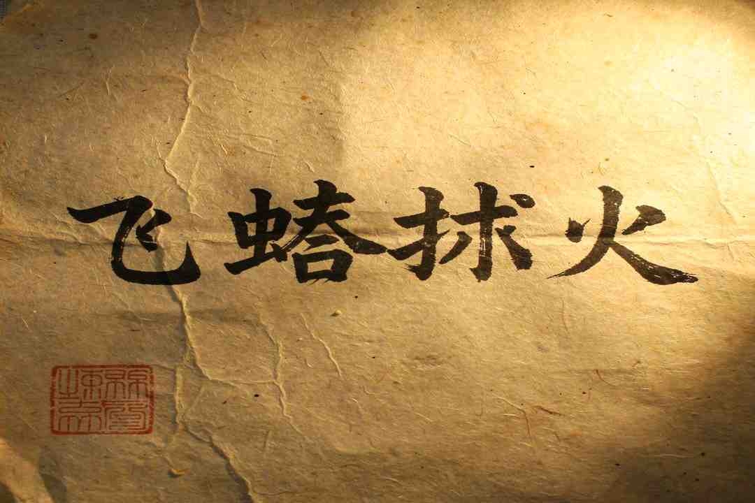 7 Things About Fei E Pu Huo Idiom That Will Change How You U 2 fei e pu huo idiom essential guide